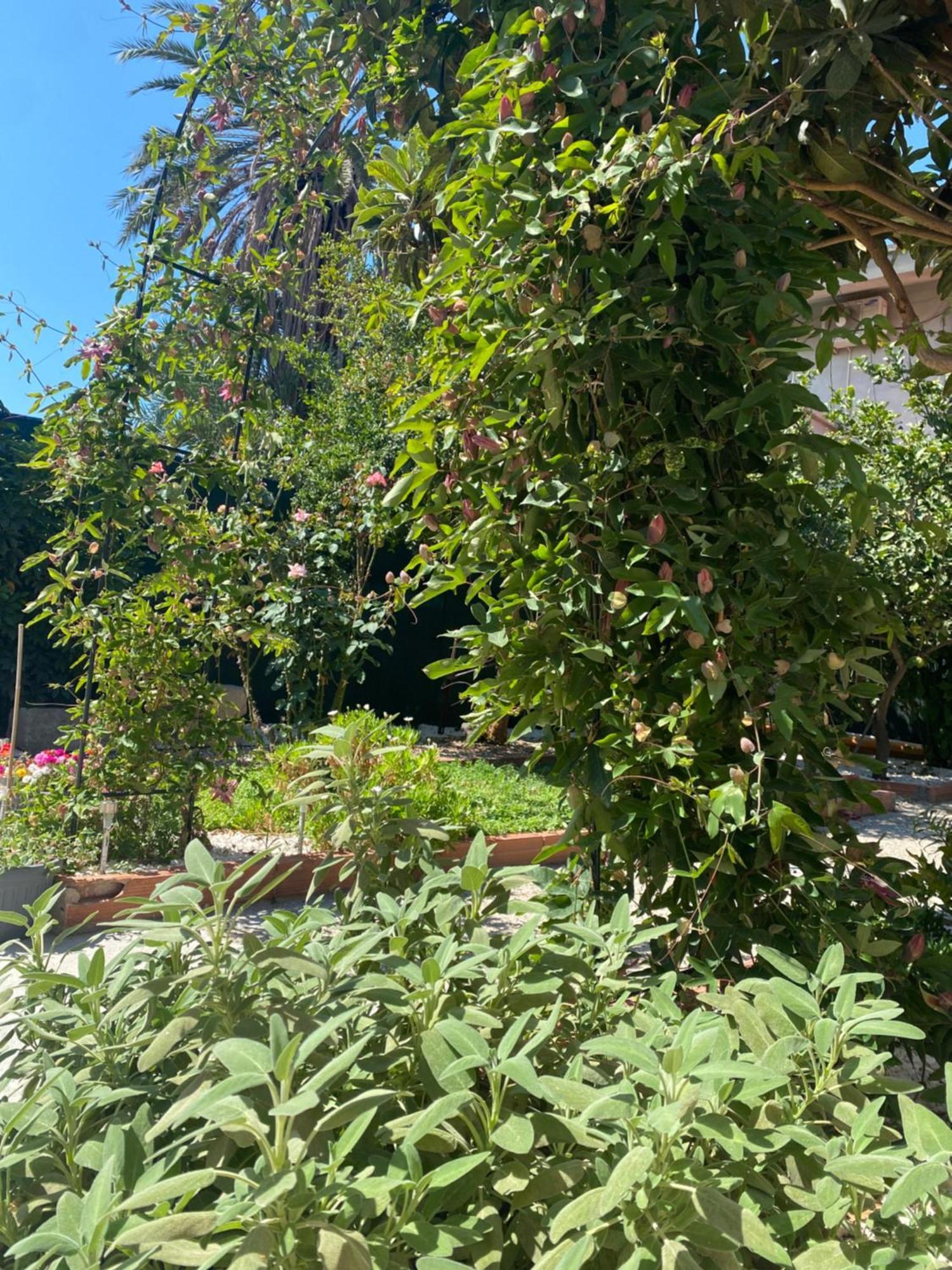 Villa Tesori Del Sinis Càbras Exterior foto